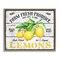 Stupell Industries Farm Fresh Produce Lemons Floater Framed Canvas Wall Art Design by Creatif Belle